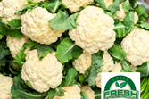 Cauliflower
