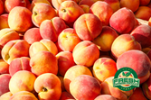 Soft Fruits
