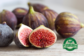 Exotic Fruit (more)