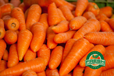 Carrots