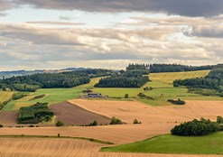Helping you keep the food chain sustainable