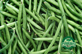 Green Beans