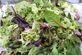 Gourmet Salad Mix