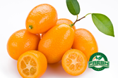Exotic Fruit