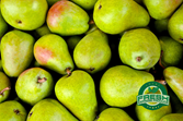 Pears