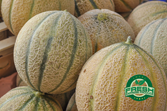 Melon